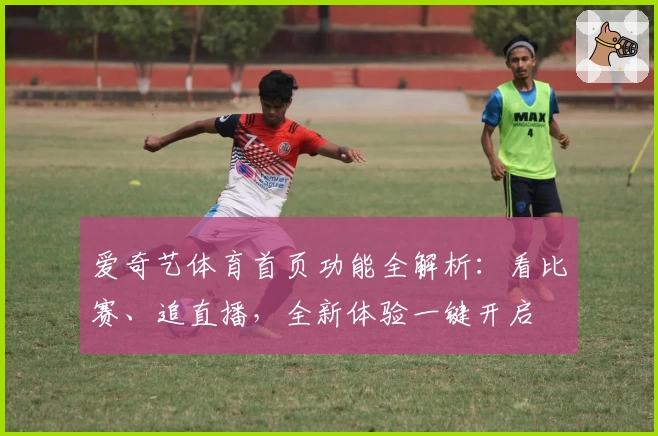 爱奇艺体育首页功能全解析：看比赛、追直播，全新体验一键开启