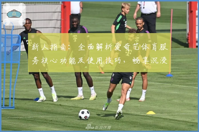 新人指南：全面解析爱奇艺体育服务核心功能及使用技巧，畅享沉浸式观赛体验