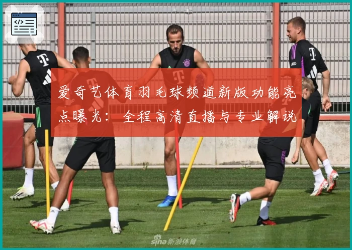 爱奇艺体育羽毛球频道新版功能亮点曝光：全程高清直播与专业解说