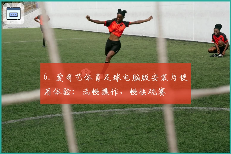 6. 爱奇艺体育足球电脑版安装与使用体验：流畅操作，畅快观赛