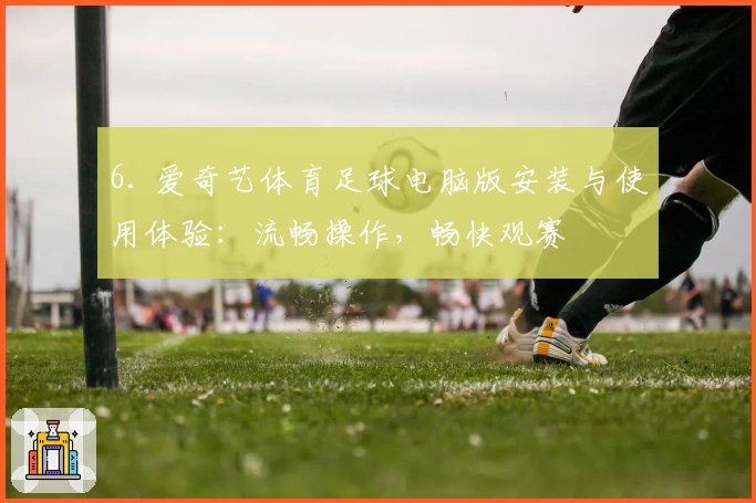 6. 爱奇艺体育足球电脑版安装与使用体验：流畅操作，畅快观赛