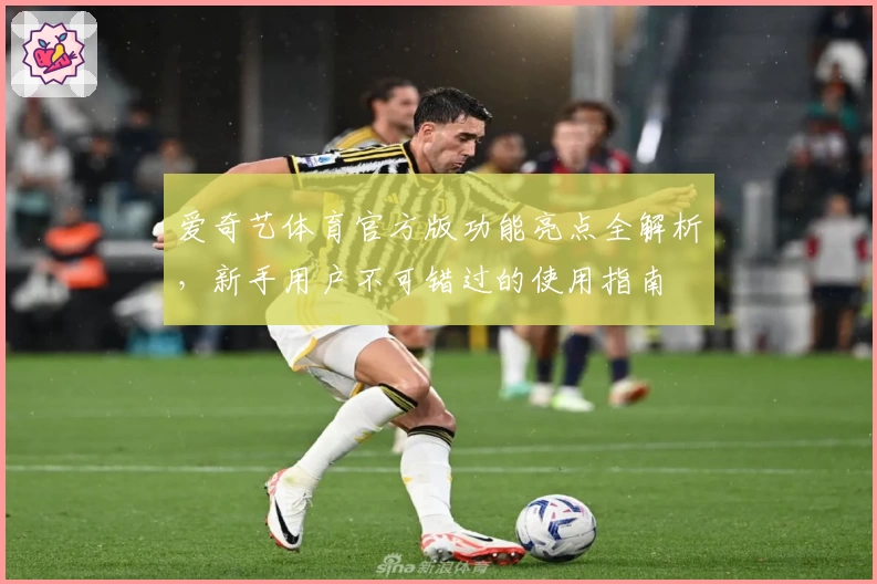 爱奇艺体育官方版功能亮点全解析，新手用户不可错过的使用指南